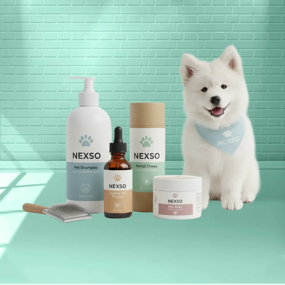 Pet Care
